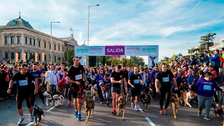5.000 perros toman las calles de Madrid en la carrera Perrotón 2022 carrera Perrotón Madrid 2022